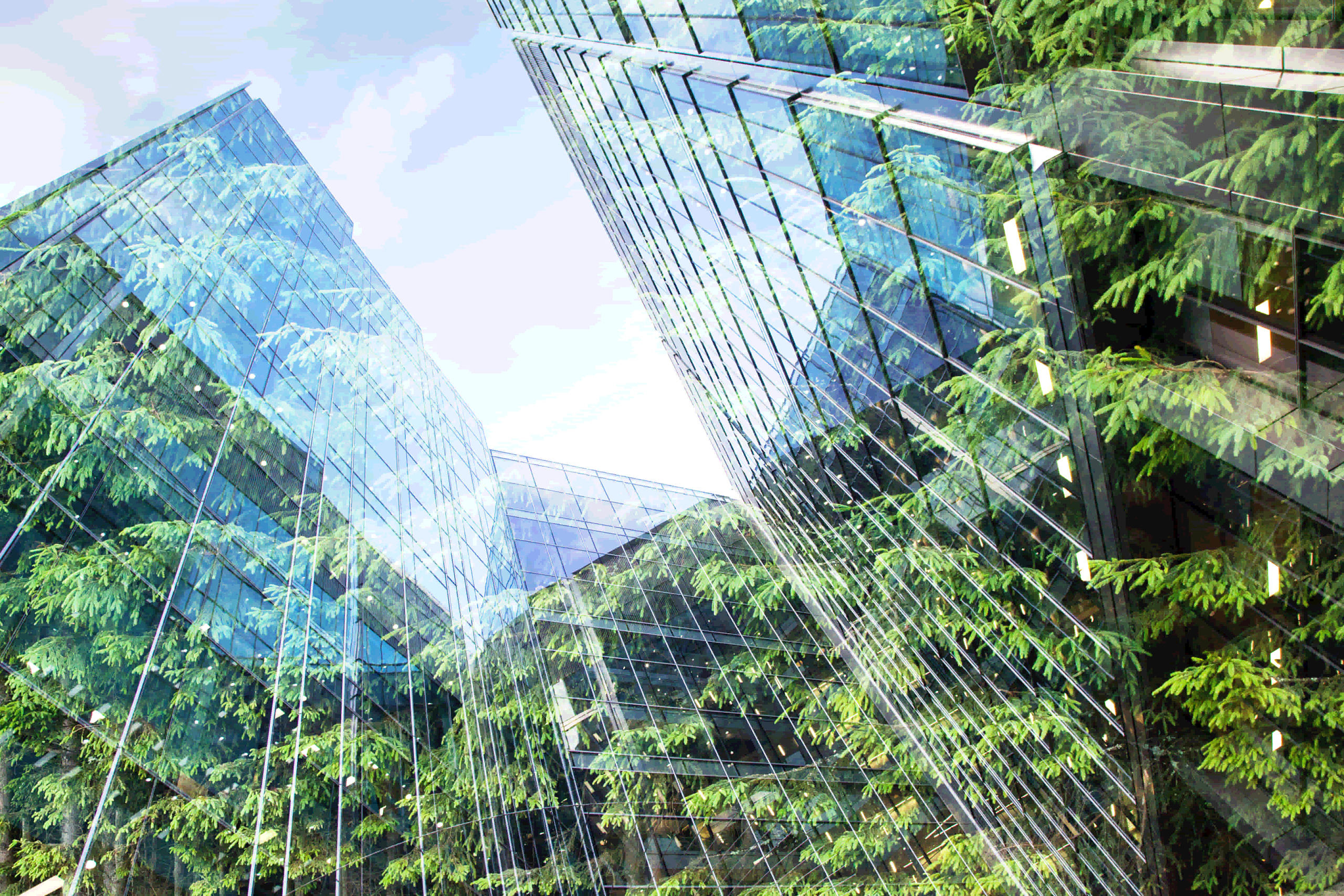 The green guide is your compass for navigating the world of sustainability marketing. Sustainability marketing, green marketing, and eco-marketing: the green guide has it all