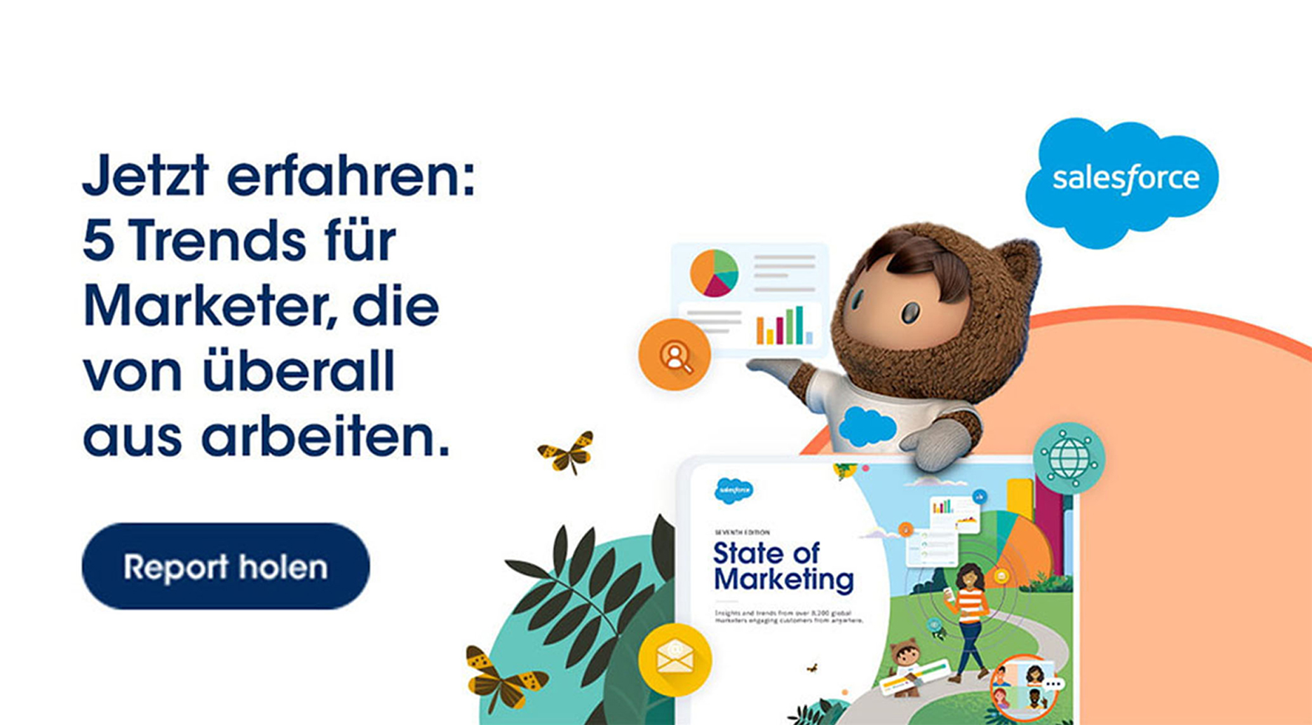 salesforce-report salesforce-report