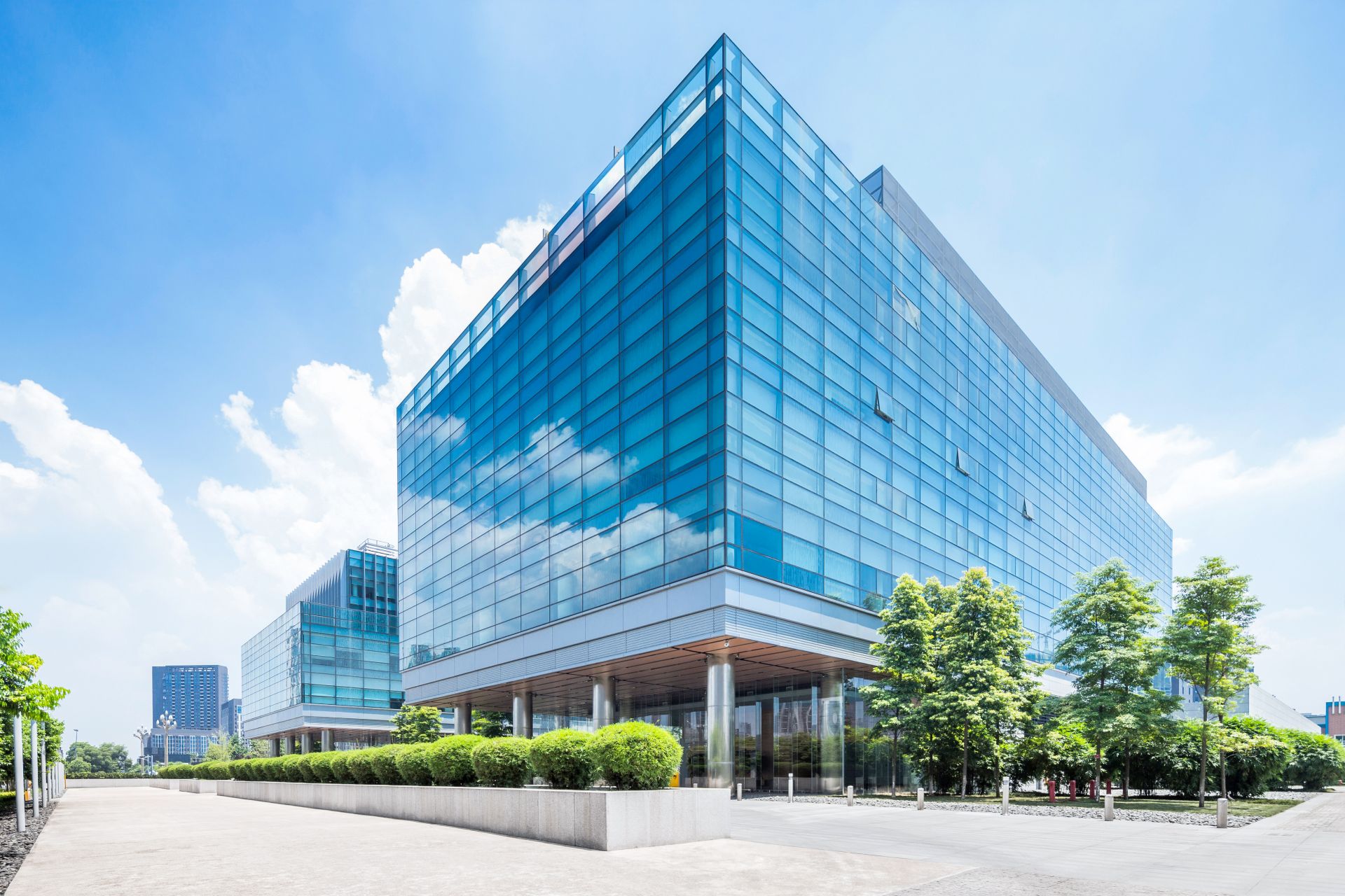 CDR in der Praxis  Corporate Digital Responsibility im Unternehmen umsetzen