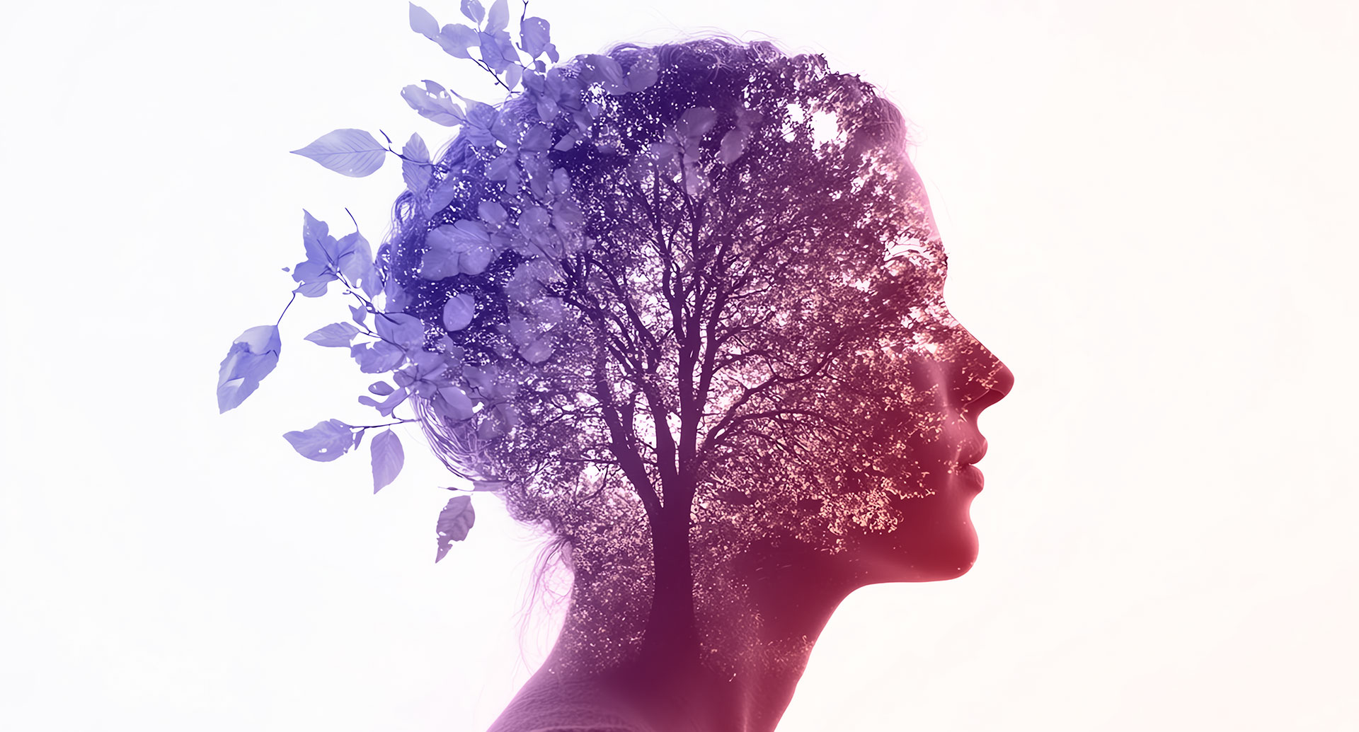 Sustainability marketing strategy How to succeed with sustainability marketing